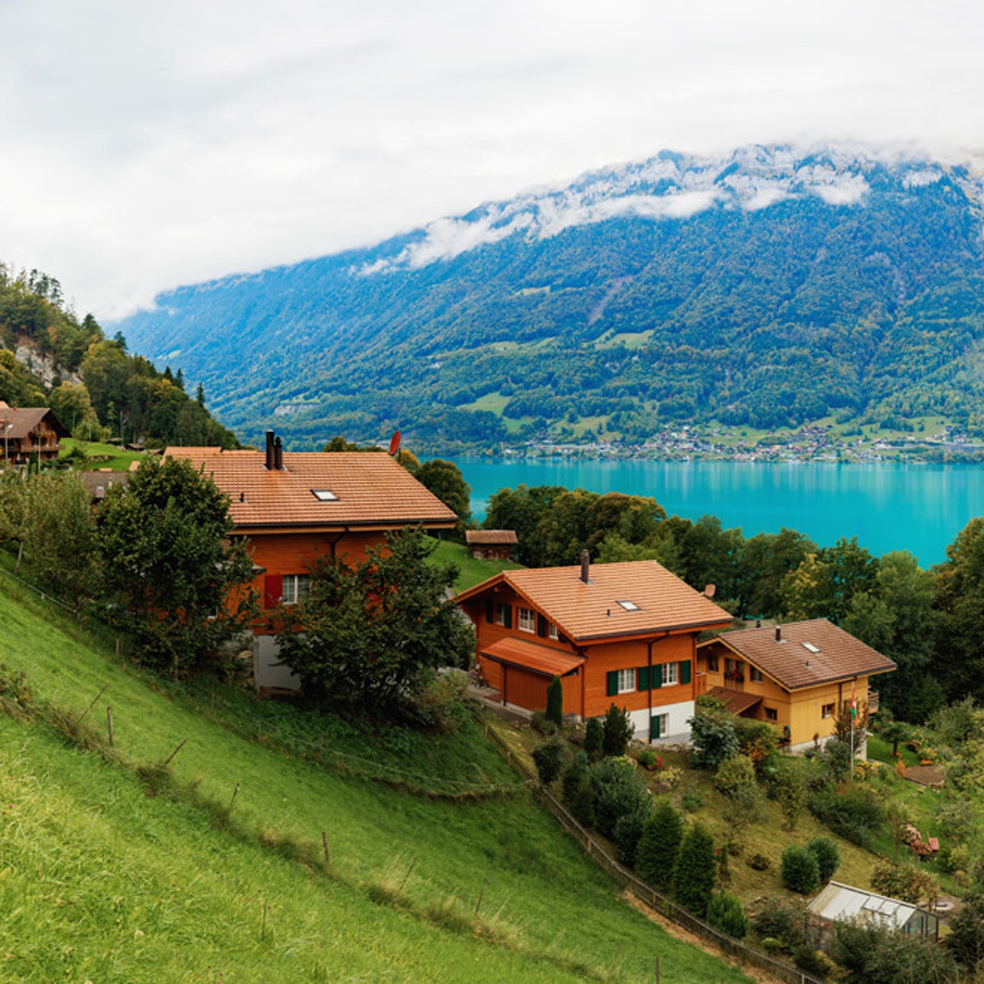 Entdecken Sie mit Maxiflug schöne Hotels am Waldesrand