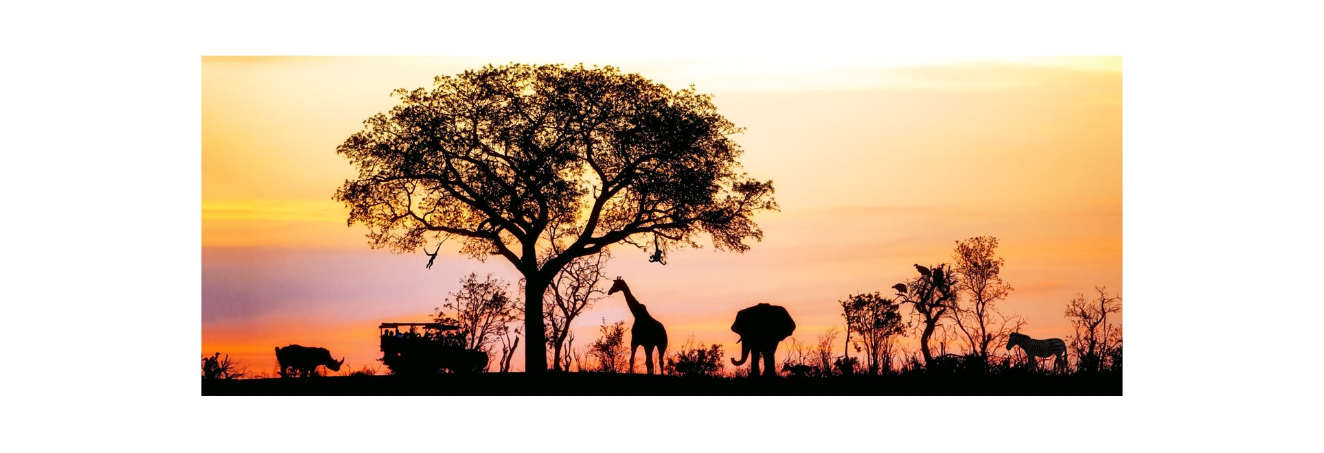 Erleben Sie die Silhouette von Südafrika, Johannesburg, mit Giraffe, Elefant, Nashorn, Safari, Geiern und Affen